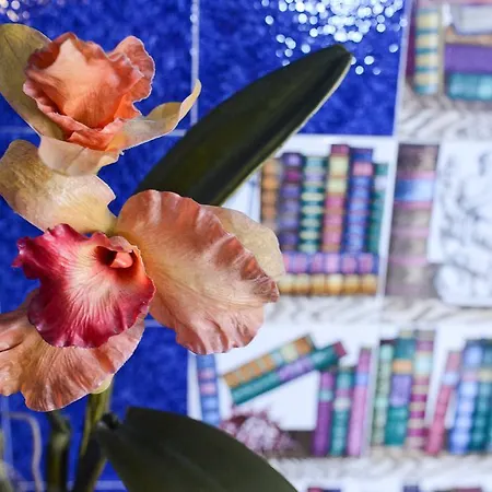 Casa Felice * 로마
